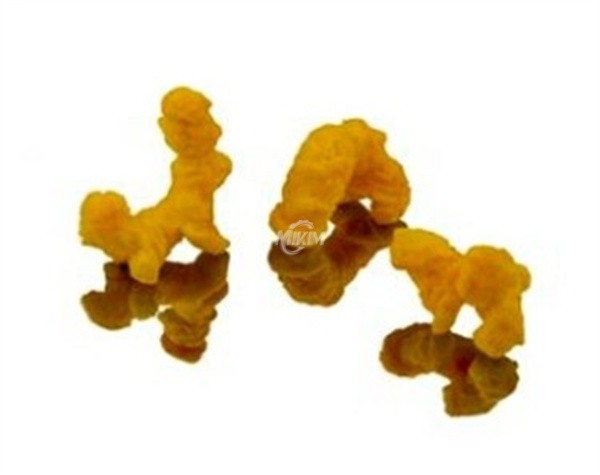 snack extruder machine